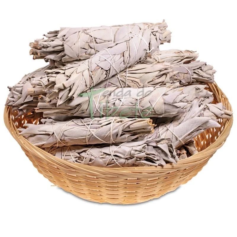 Sálvia Branca Tocha 10 cm