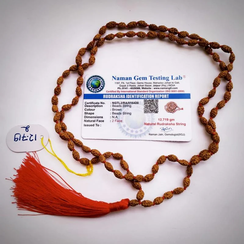 Japamala Rudrksha com Dois Mukhi (faces)