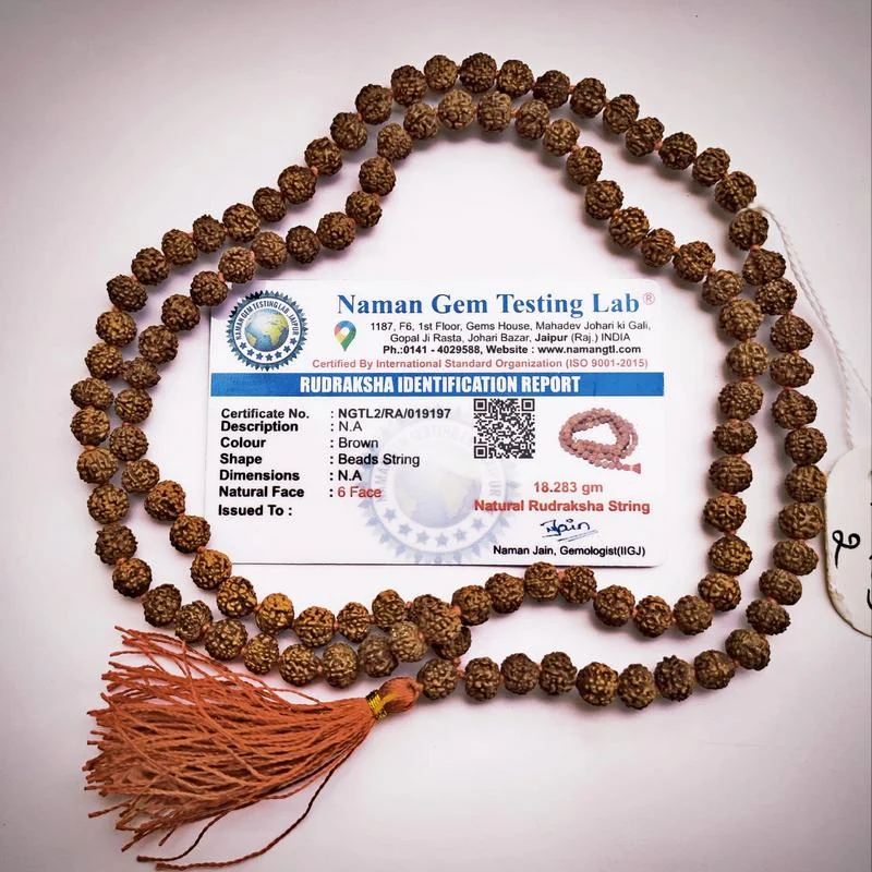 Japamala Rudraksha com Seis Mukhi (faces)