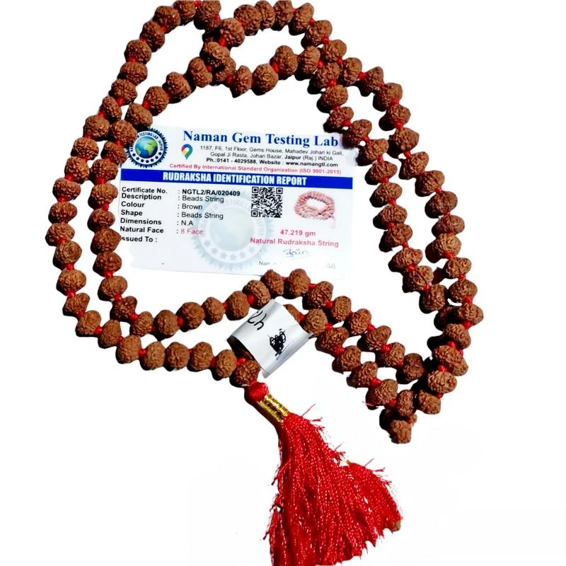 Japamala Rudraksha com Oito Mukhi (faces)