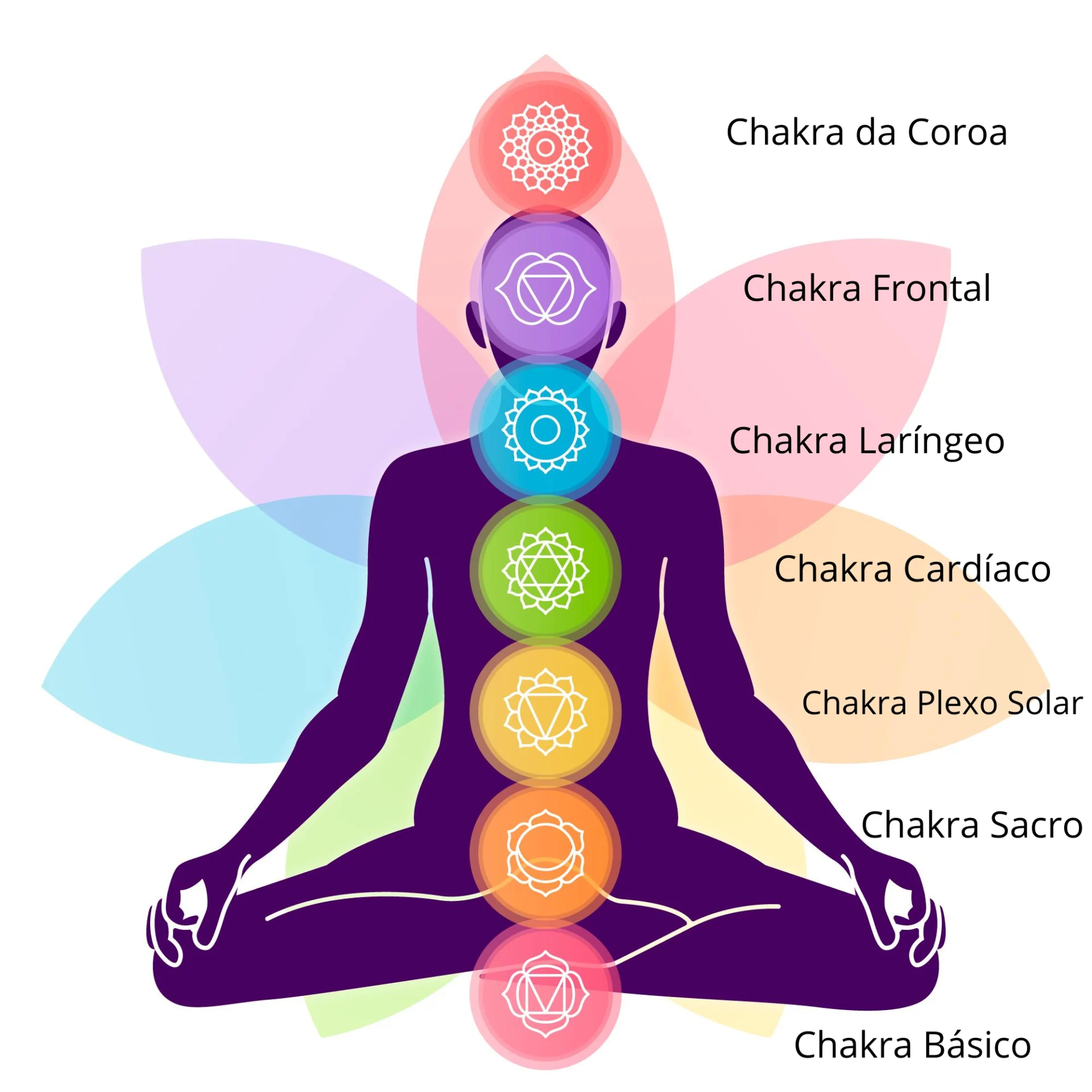 Read more about the article O Cristais e os Chakras